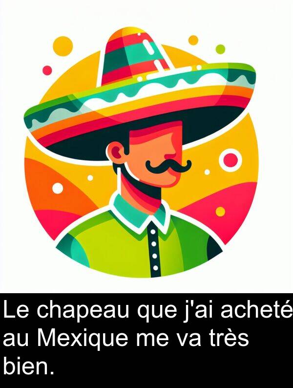 que: Le chapeau que j'ai acheté au Mexique me va très bien.
