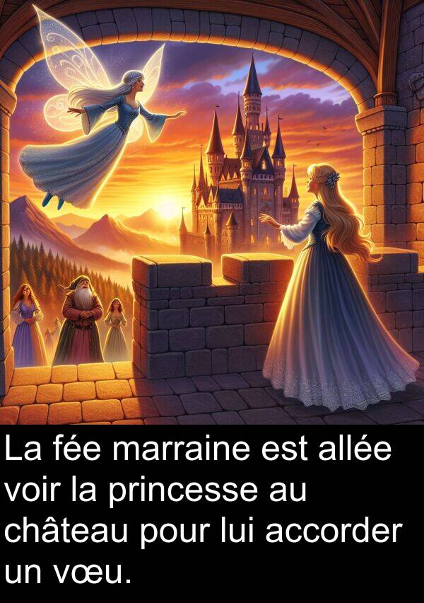 fée: La fée marraine est allée voir la princesse au château pour lui accorder un vœu.
