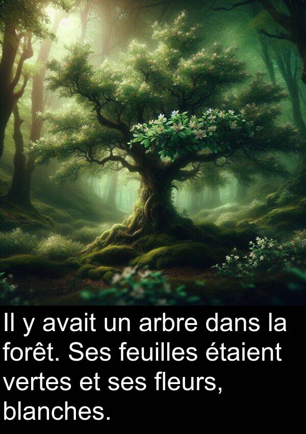 blanches: Il y avait un arbre dans la forêt. Ses feuilles étaient vertes et ses fleurs, blanches.