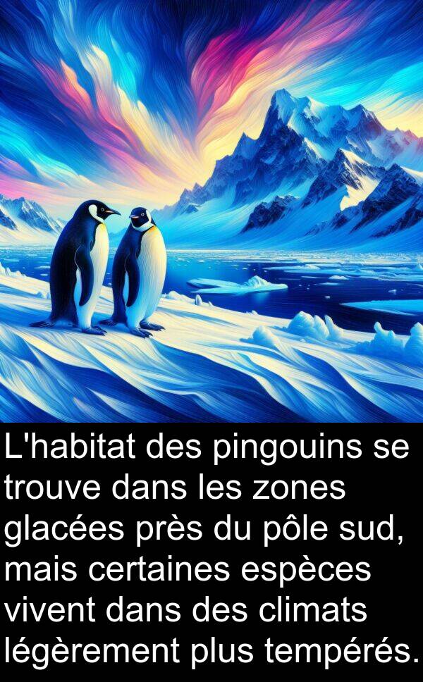 tempérés: L'habitat des pingouins se trouve dans les zones glacées près du pôle sud, mais certaines espèces vivent dans des climats légèrement plus tempérés.