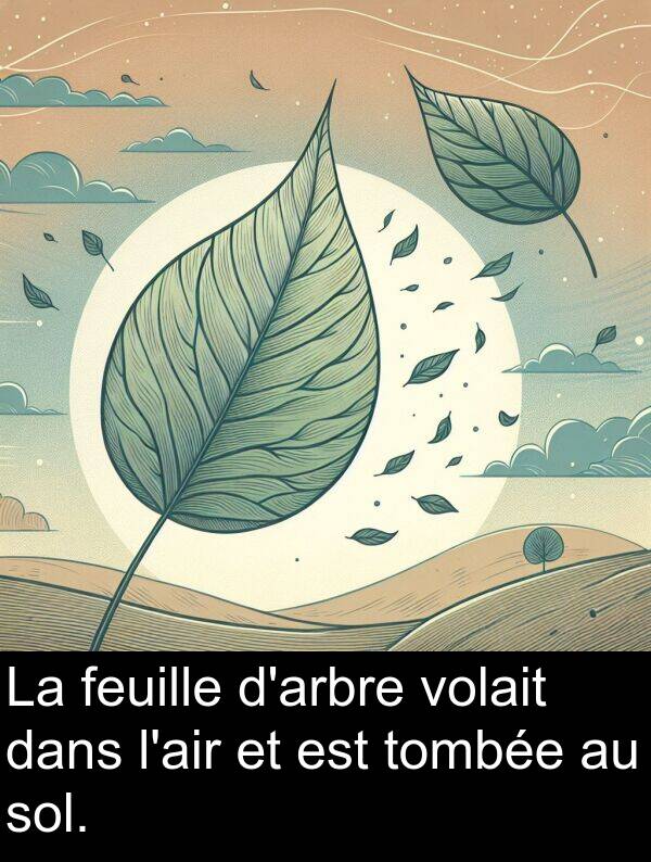 tombée: La feuille d'arbre volait dans l'air et est tombée au sol.