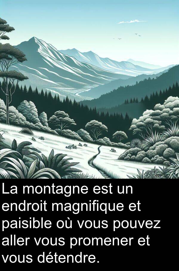 magnifique: La montagne est un endroit magnifique et paisible où vous pouvez aller vous promener et vous détendre.