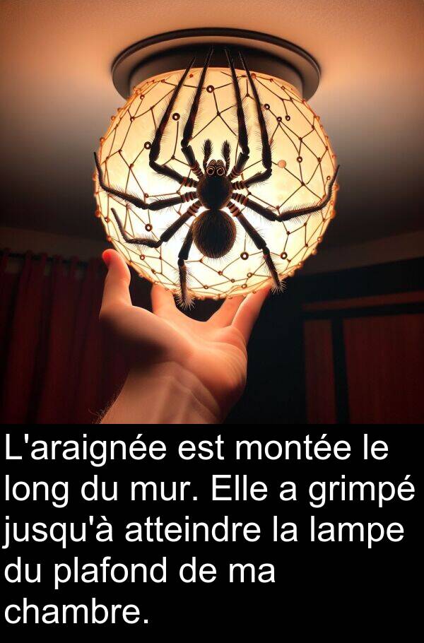 plafond: L'araignée est montée le long du mur. Elle a grimpé jusqu'à atteindre la lampe du plafond de ma chambre.