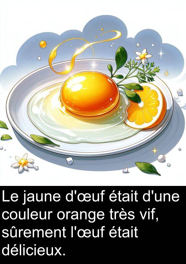 jaune: Le jaune d'œuf était d'une couleur orange très vif, sûrement l'œuf était délicieux.