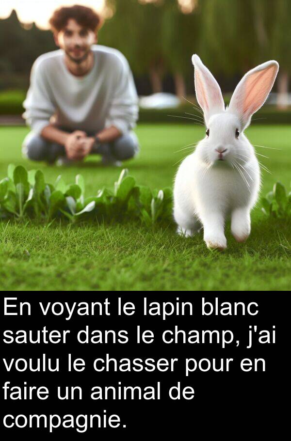 blanc: En voyant le lapin blanc sauter dans le champ, j'ai voulu le chasser pour en faire un animal de compagnie.