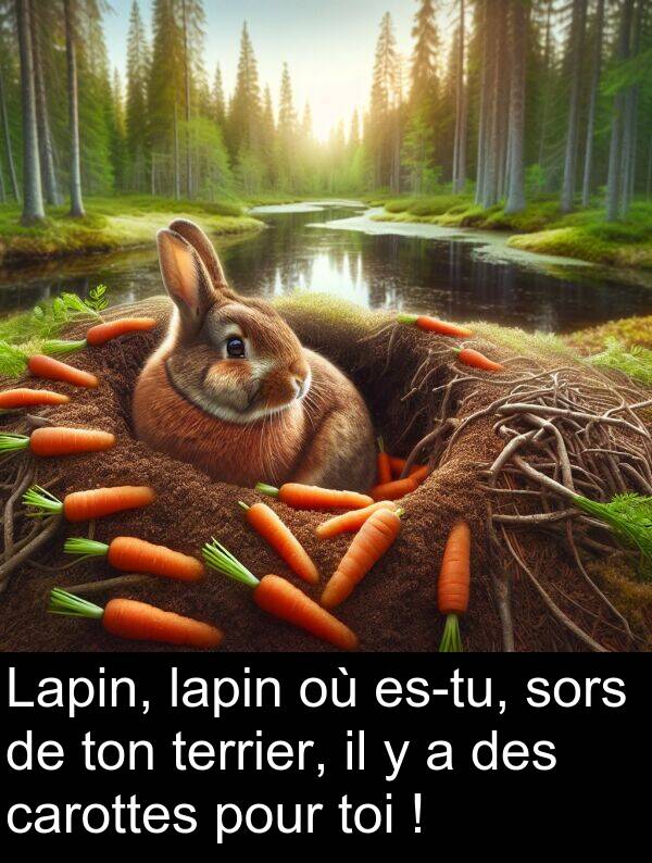 ton: Lapin, lapin où es-tu, sors de ton terrier, il y a des carottes pour toi !