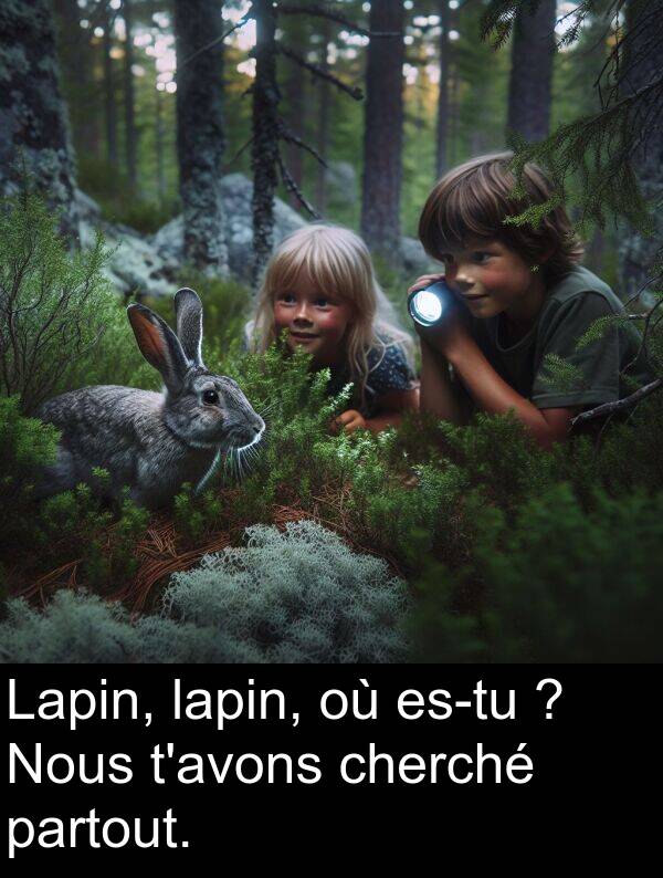 lapin: Lapin, lapin, où es-tu ? Nous t'avons cherché partout.