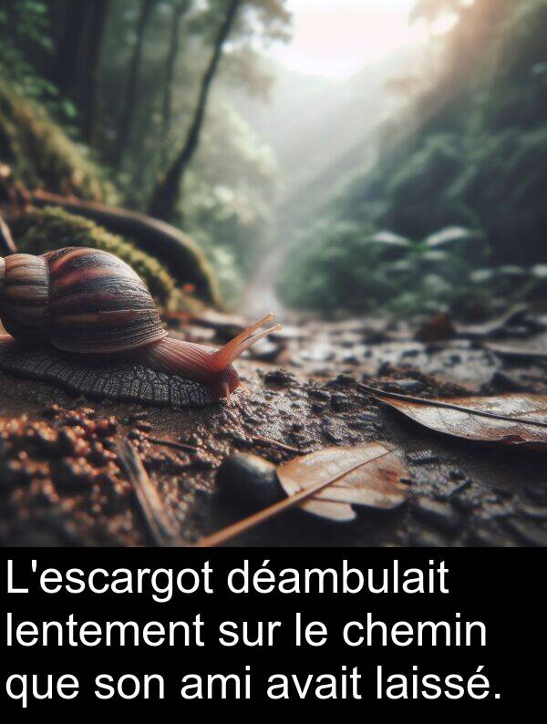 lentement: L'escargot déambulait lentement sur le chemin que son ami avait laissé.