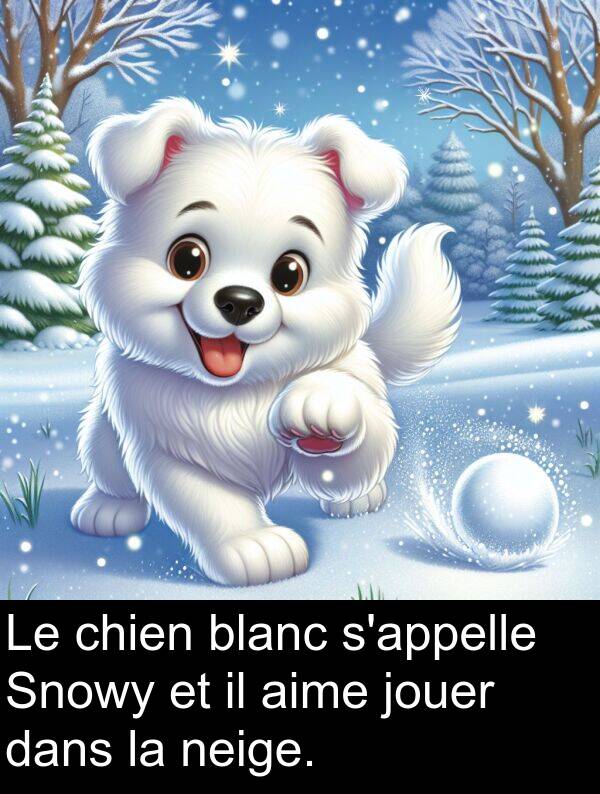 blanc: Le chien blanc s'appelle Snowy et il aime jouer dans la neige.