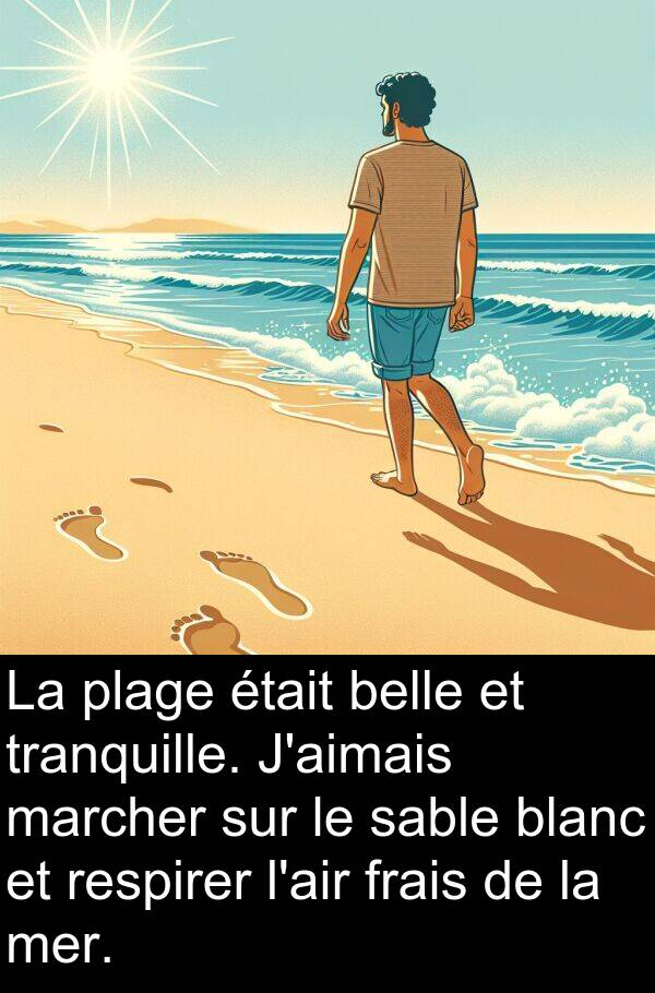 belle: La plage était belle et tranquille. J'aimais marcher sur le sable blanc et respirer l'air frais de la mer.