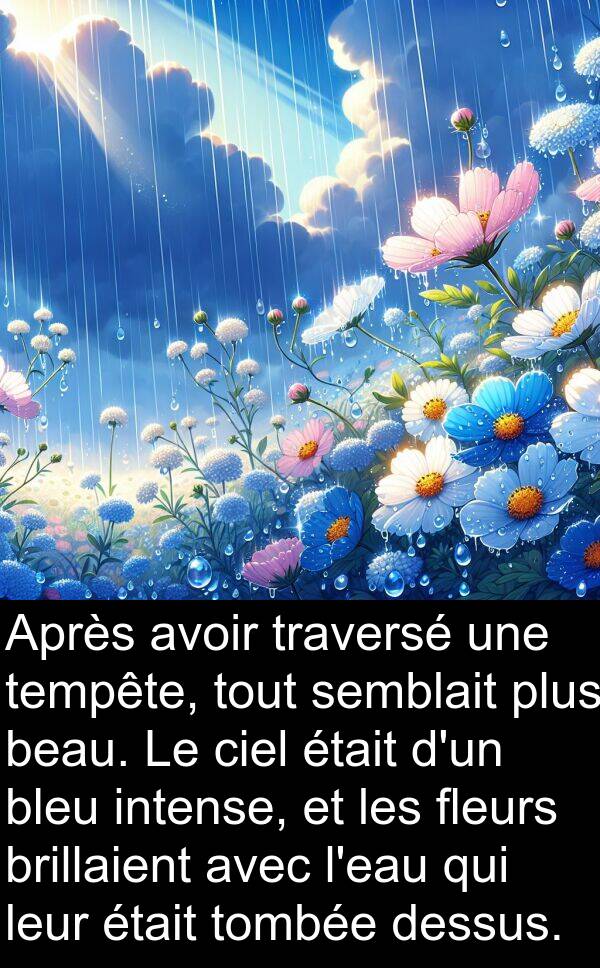 brillaient: Après avoir traversé une tempête, tout semblait plus beau. Le ciel était d'un bleu intense, et les fleurs brillaient avec l'eau qui leur était tombée dessus.