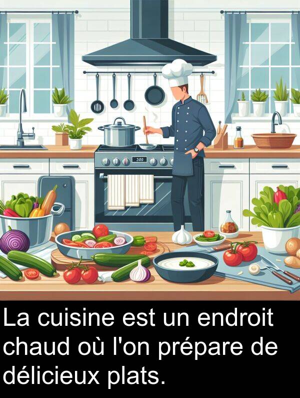 chaud: La cuisine est un endroit chaud où l'on prépare de délicieux plats.