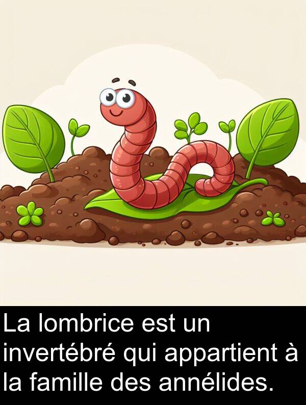 invertébré: La lombrice est un invertébré qui appartient à la famille des annélides.