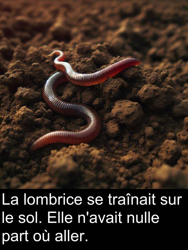 nulle: La lombrice se traînait sur le sol. Elle n'avait nulle part où aller.