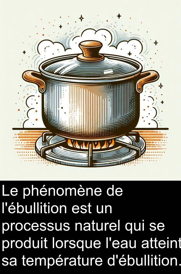 naturel: Le phénomène de l'ébullition est un processus naturel qui se produit lorsque l'eau atteint sa température d'ébullition.