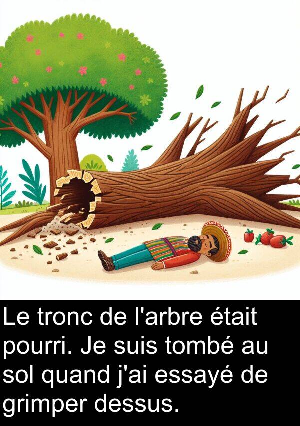 quand: Le tronc de l'arbre était pourri. Je suis tombé au sol quand j'ai essayé de grimper dessus.