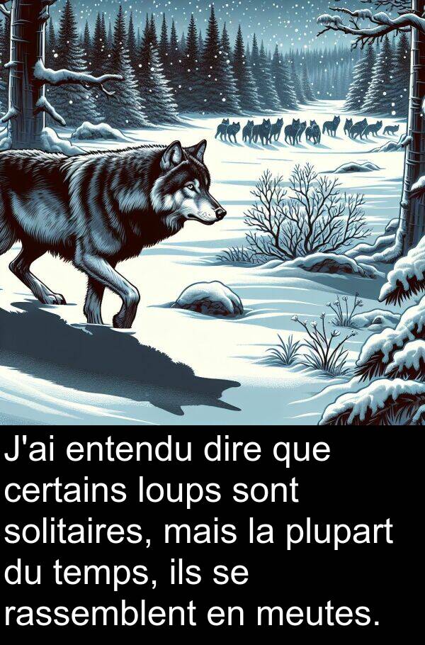 ils: J'ai entendu dire que certains loups sont solitaires, mais la plupart du temps, ils se rassemblent en meutes.