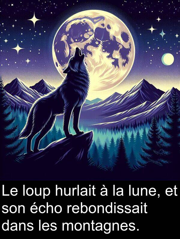 écho: Le loup hurlait à la lune, et son écho rebondissait dans les montagnes.