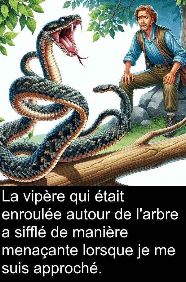 manière: La vipère qui était enroulée autour de l'arbre a sifflé de manière menaçante lorsque je me suis approché.