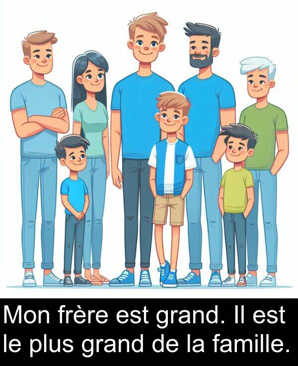 plus: Mon frère est grand. Il est le plus grand de la famille.