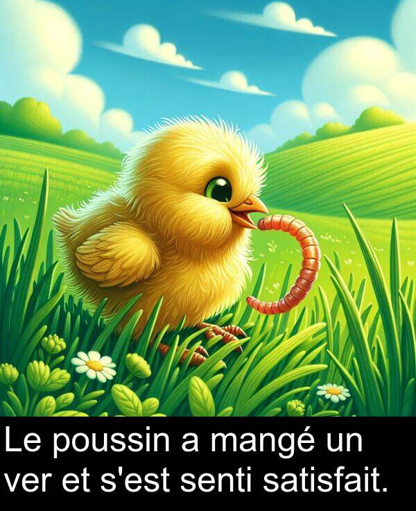 satisfait: Le poussin a mangé un ver et s'est senti satisfait.