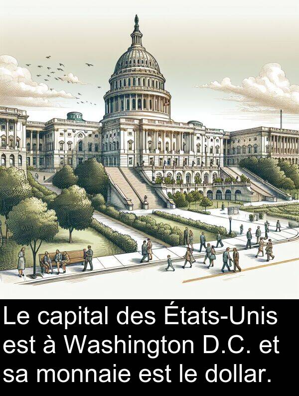 capital: Le capital des États-Unis est à Washington D.C. et sa monnaie est le dollar.