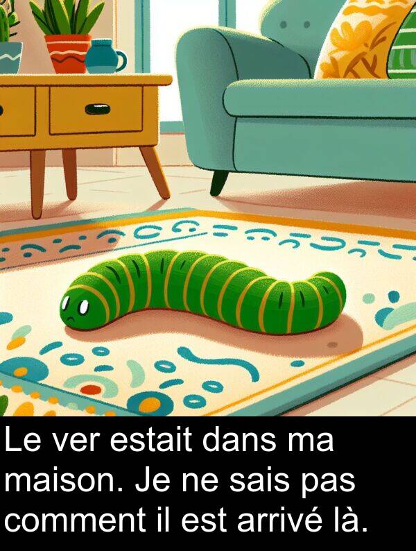 là: Le ver estait dans ma maison. Je ne sais pas comment il est arrivé là.