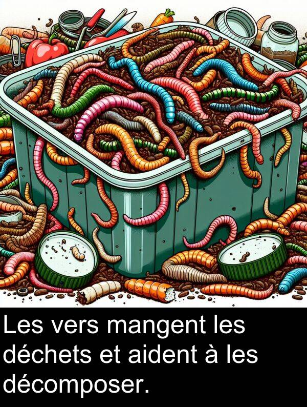 déchets: Les vers mangent les déchets et aident à les décomposer.