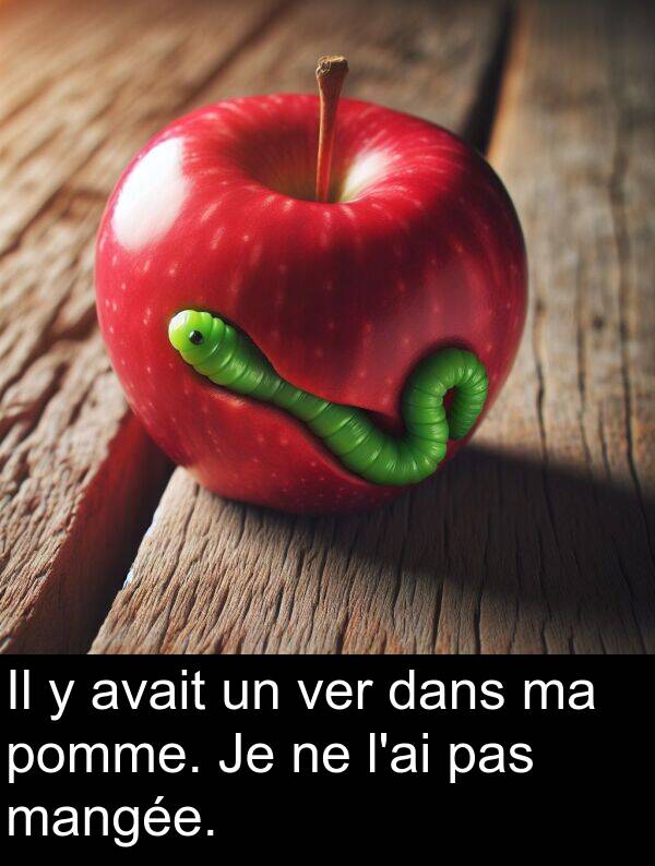 ver: Il y avait un ver dans ma pomme. Je ne l'ai pas mangée.
