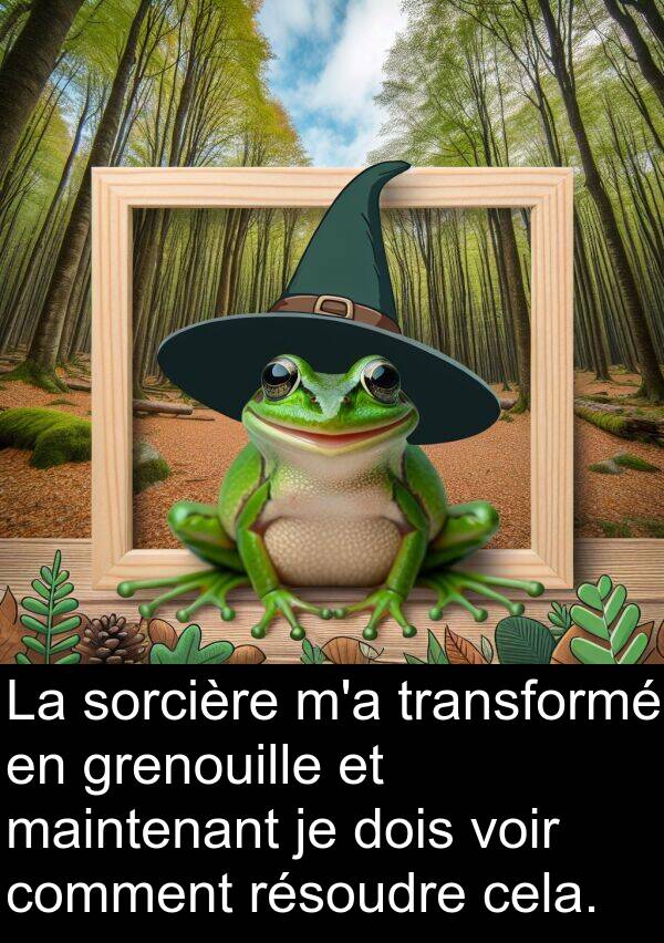 sorcière: La sorcière m'a transformé en grenouille et maintenant je dois voir comment résoudre cela.