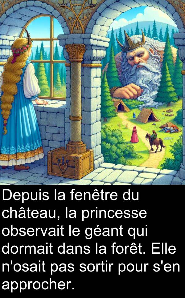 observait: Depuis la fenêtre du château, la princesse observait le géant qui dormait dans la forêt. Elle n'osait pas sortir pour s'en approcher.