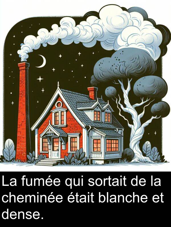 blanche: La fumée qui sortait de la cheminée était blanche et dense.