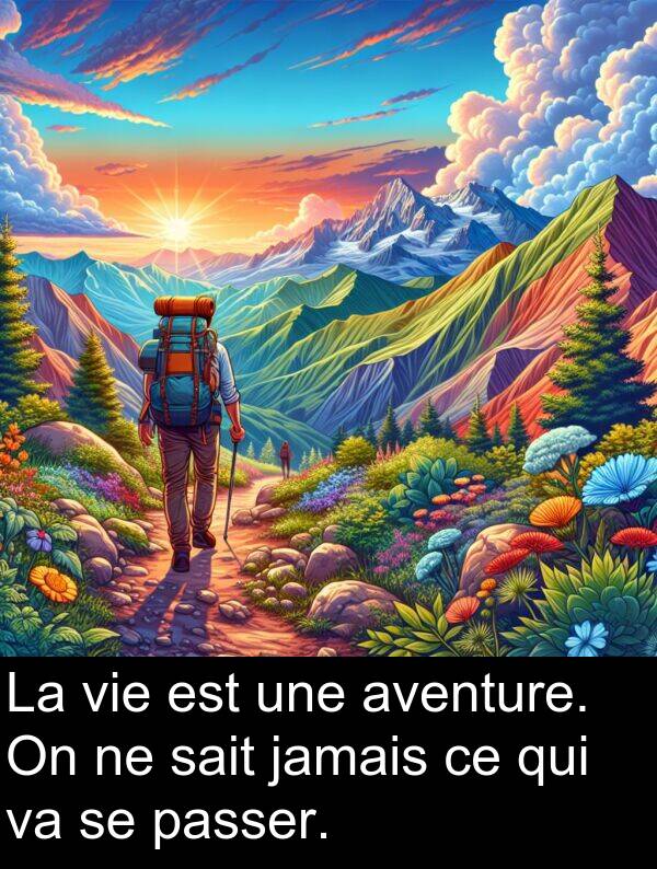 sait: La vie est une aventure. On ne sait jamais ce qui va se passer.