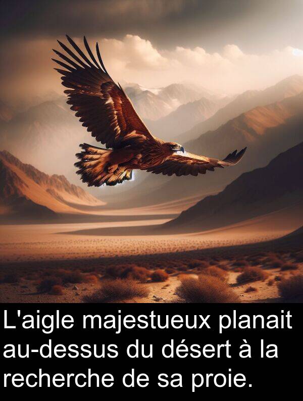 majestueux: L'aigle majestueux planait au-dessus du désert à la recherche de sa proie.
