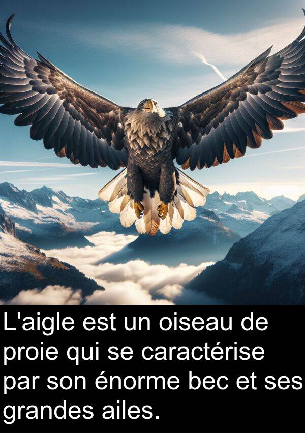 oiseau: L'aigle est un oiseau de proie qui se caractérise par son énorme bec et ses grandes ailes.