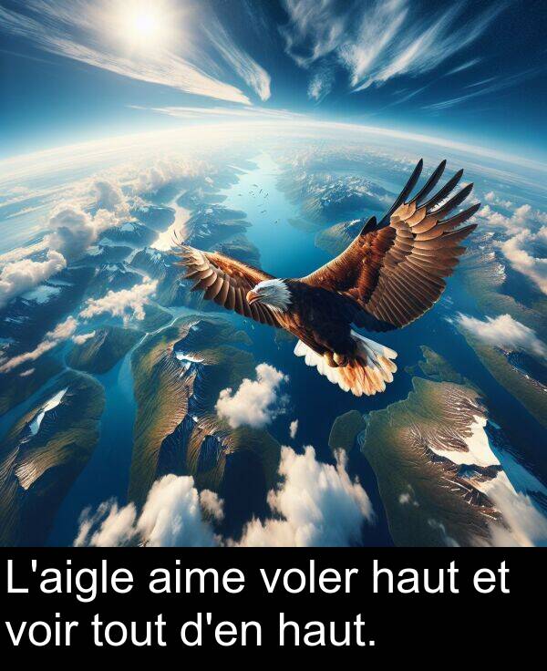 haut: L'aigle aime voler haut et voir tout d'en haut.