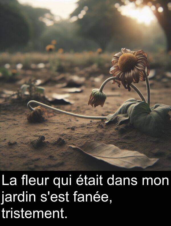 fanée: La fleur qui était dans mon jardin s'est fanée, tristement.
