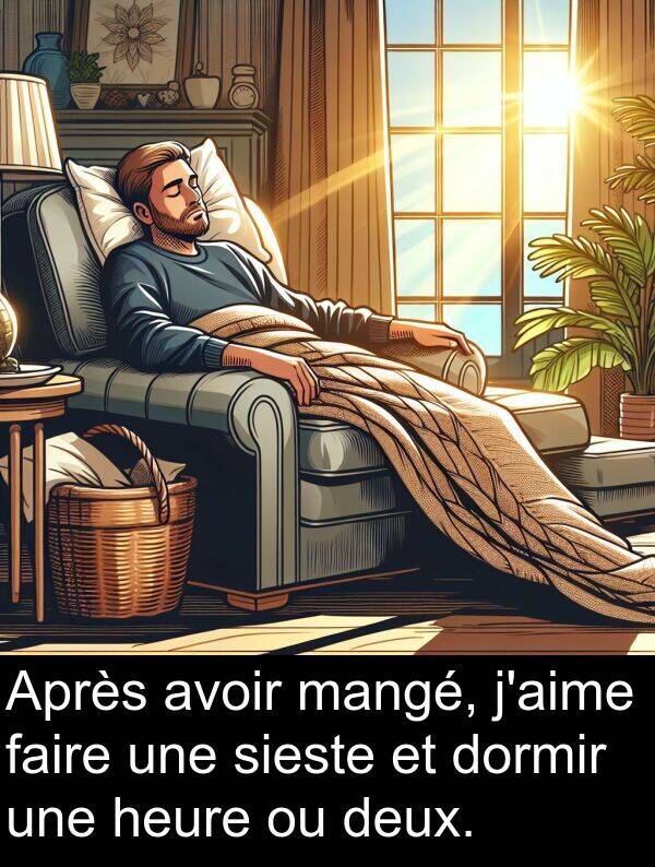 faire: Après avoir mangé, j'aime faire une sieste et dormir une heure ou deux.