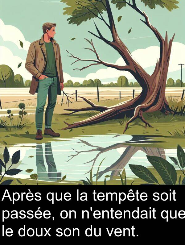 vent: Après que la tempête soit passée, on n'entendait que le doux son du vent.