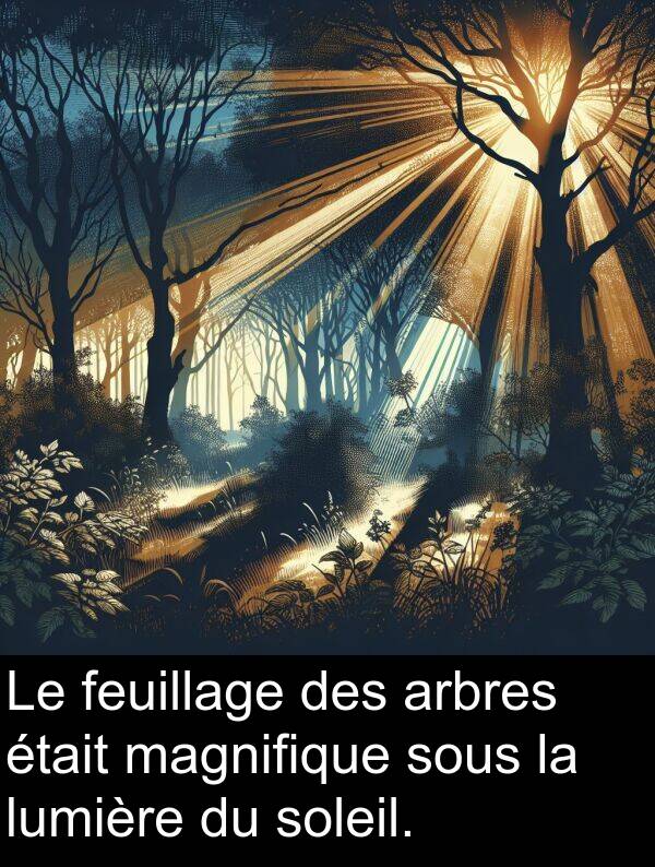 magnifique: Le feuillage des arbres était magnifique sous la lumière du soleil.