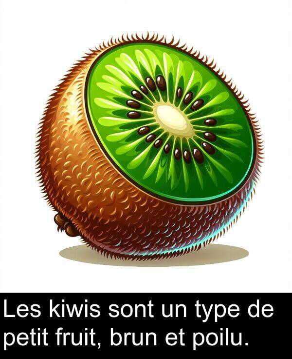 kiwis: Les kiwis sont un type de petit fruit, brun et poilu.