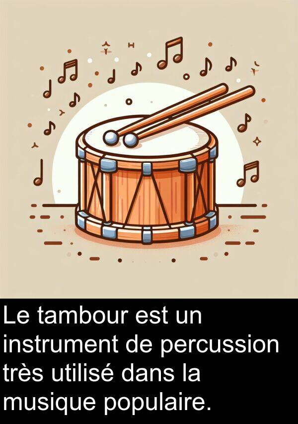 tambour: Le tambour est un instrument de percussion très utilisé dans la musique populaire.