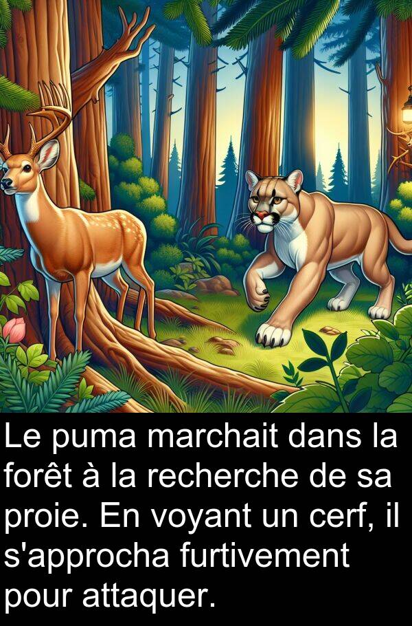 furtivement: Le puma marchait dans la forêt à la recherche de sa proie. En voyant un cerf, il s'approcha furtivement pour attaquer.