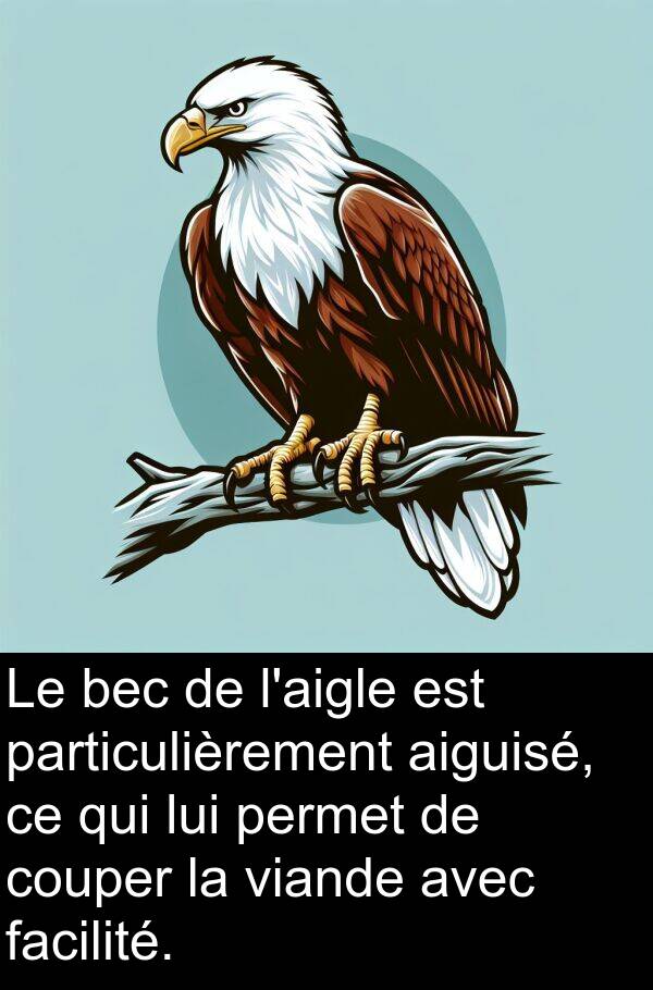 bec: Le bec de l'aigle est particulièrement aiguisé, ce qui lui permet de couper la viande avec facilité.