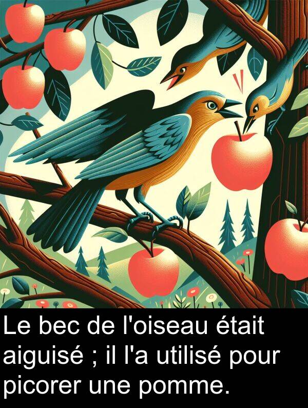 bec: Le bec de l'oiseau était aiguisé ; il l'a utilisé pour picorer une pomme.