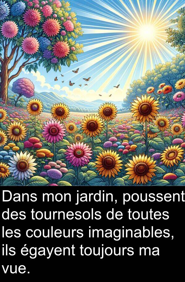 ils: Dans mon jardin, poussent des tournesols de toutes les couleurs imaginables, ils égayent toujours ma vue.