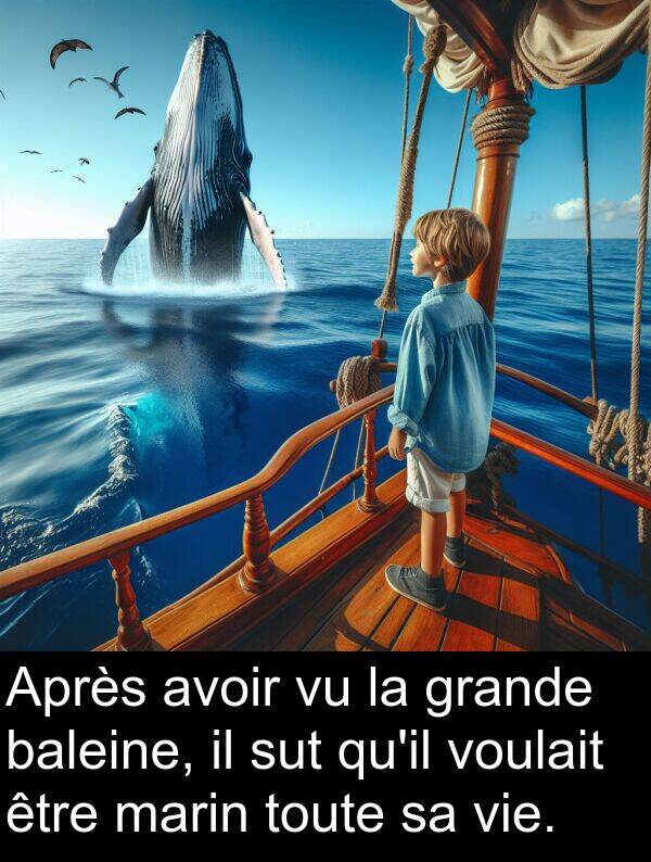 baleine: Après avoir vu la grande baleine, il sut qu'il voulait être marin toute sa vie.