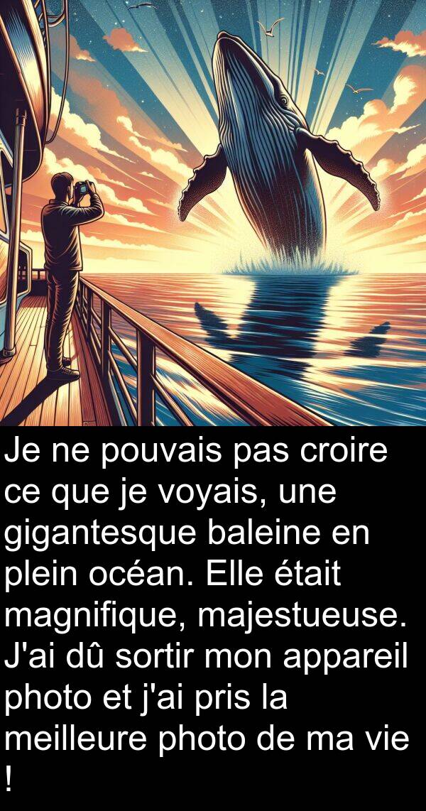 baleine: Je ne pouvais pas croire ce que je voyais, une gigantesque baleine en plein océan. Elle était magnifique, majestueuse. J'ai dû sortir mon appareil photo et j'ai pris la meilleure photo de ma vie !