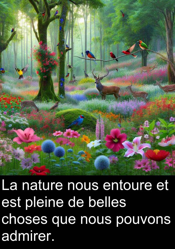 admirer: La nature nous entoure et est pleine de belles choses que nous pouvons admirer.