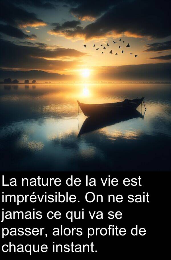 sait: La nature de la vie est imprévisible. On ne sait jamais ce qui va se passer, alors profite de chaque instant.